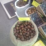 castanha-4-1