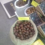 castanha-4