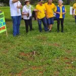 4928c4fe-aa6b-4c8d-9a96-77193f9e2407