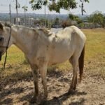 e2f0765b-65eb-4d78-bd7c-c2546f63647d