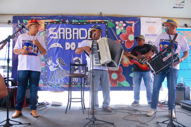 54570627428_862f93f74d_c