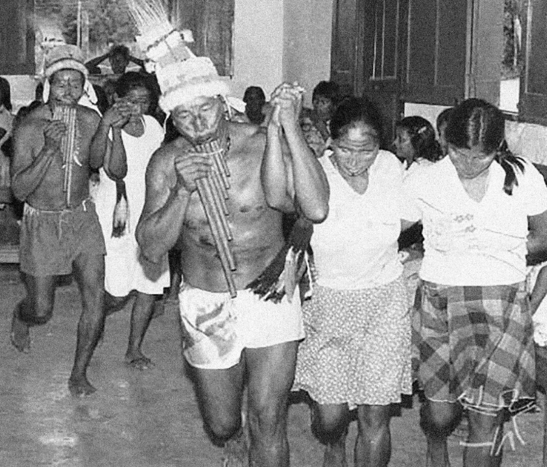 Divulgação - Festival Bôsénimi 2
