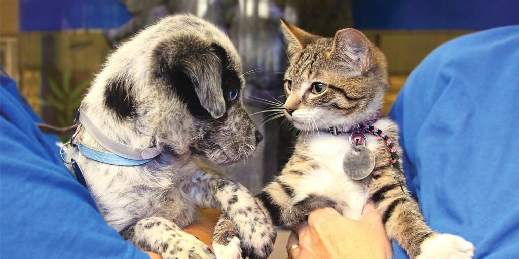 NSAL_assets_share_default-1024x512